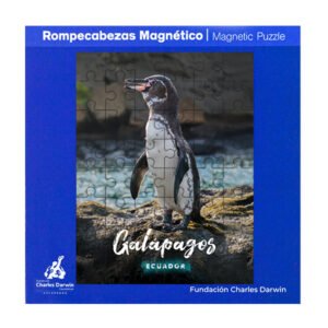 FCD-82 - Rompecabezas