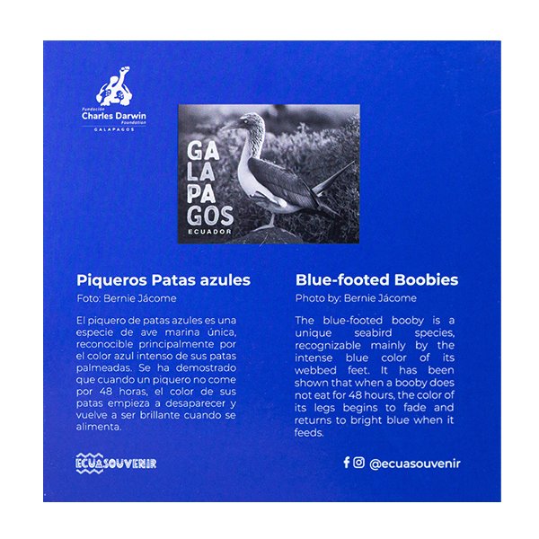 FCD-83 - Rompecabezas