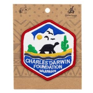 FCD-91P - Parche Planchable