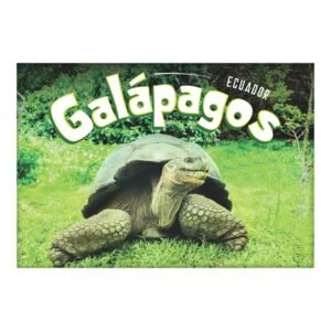 GAL-5 - Magneto Metálico Rectangular
