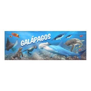 GAL-63 - Magneto Metálico Alargado