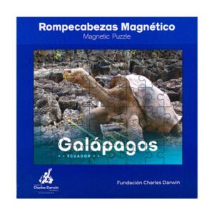 FCD-81 - Rompecabezas